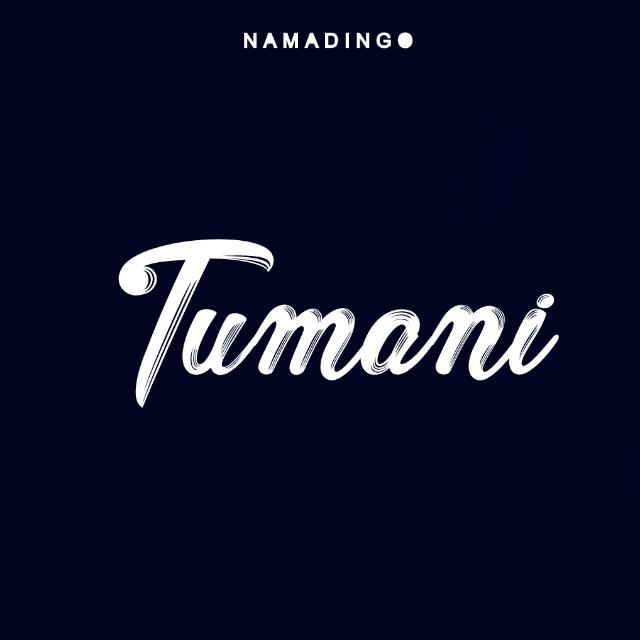  [Music Download] Patience Namadingo – Tumani