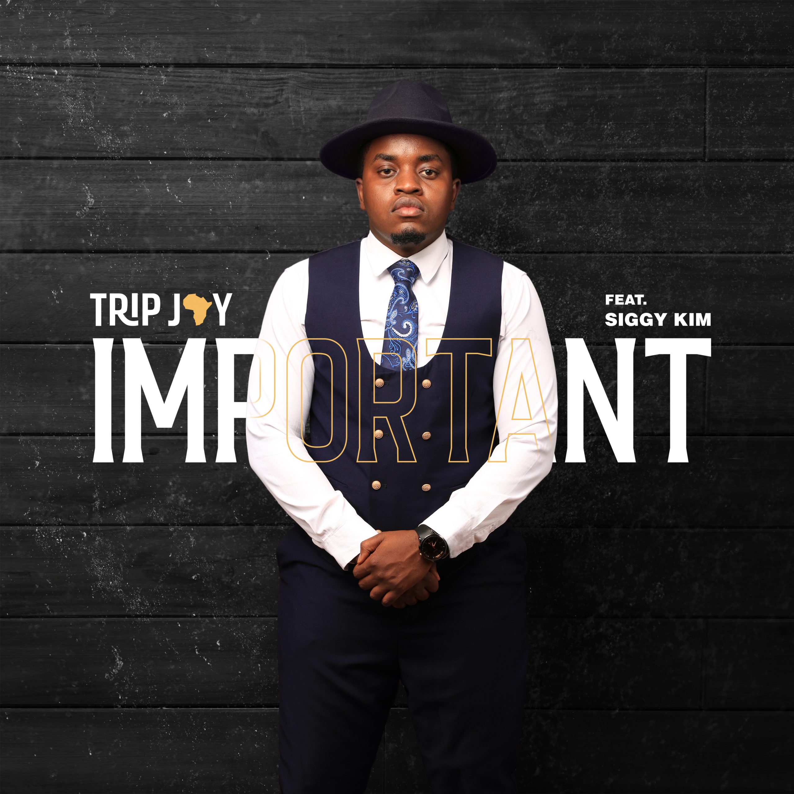  [Music Download]Trip Jay – Important feat. Siggy Kim
